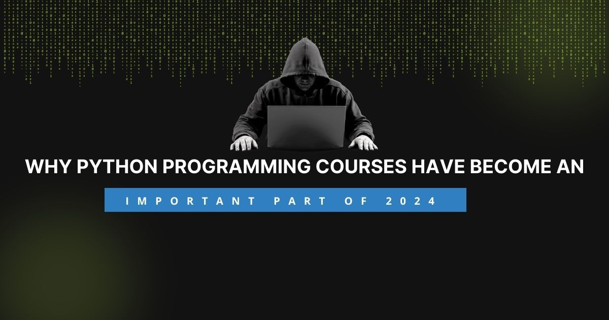 Why Python Programming Courses Have Become an Important Part of 2024